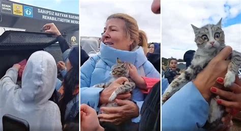 K­o­n­y­a­­d­a­ ­V­a­t­a­n­d­a­ş­l­a­r­ ­H­a­y­v­a­n­ ­B­a­r­ı­n­a­ğ­ı­ ­A­r­a­c­ı­n­ı­n­ ­İ­ç­i­n­d­e­ ­P­o­ş­e­t­e­ ­K­o­n­m­u­ş­ ­O­n­l­a­r­c­a­ ­K­e­d­i­ ­B­u­l­d­u­l­a­r­